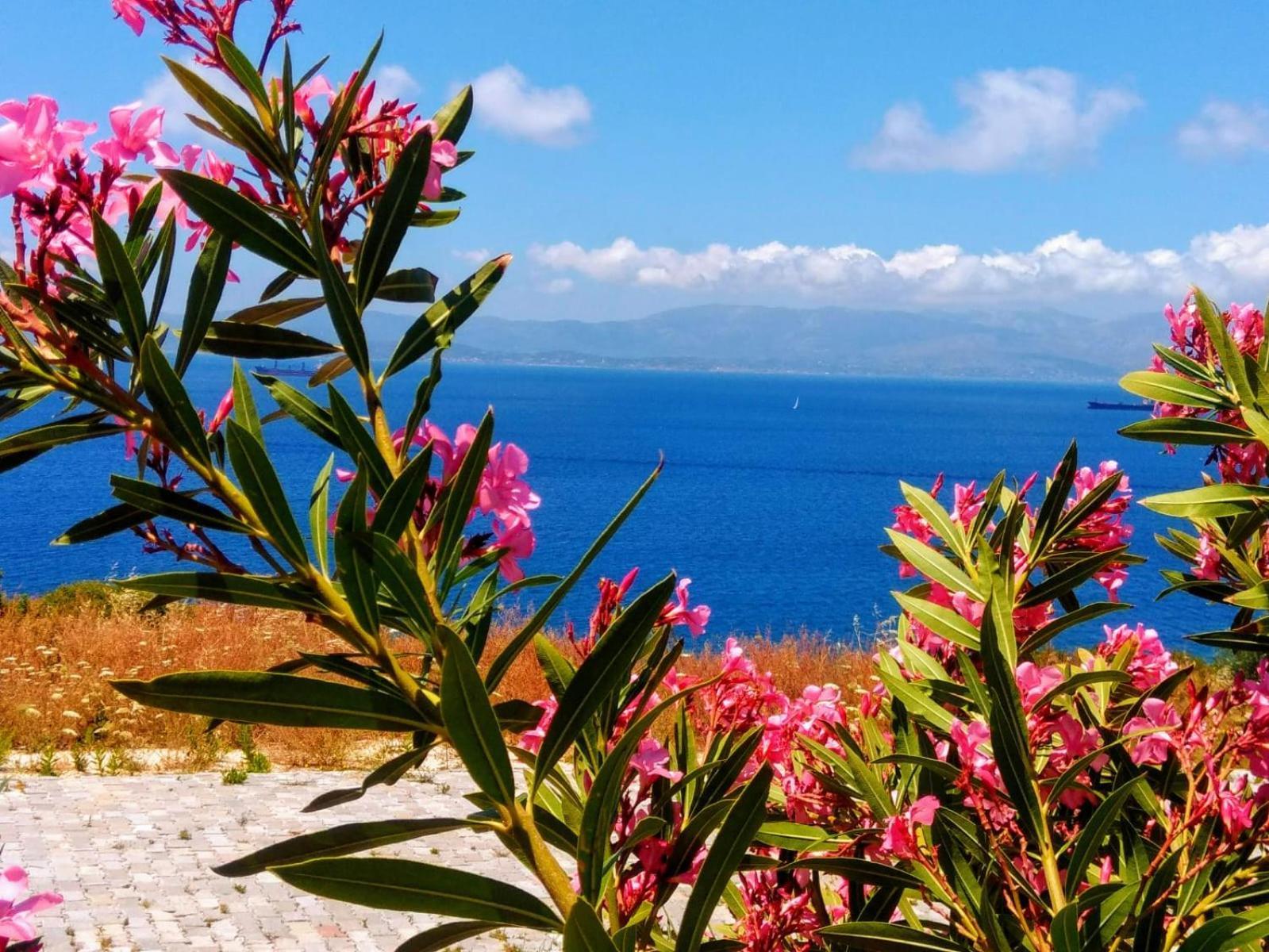 Mavi Panorama Villa Çeşme Exterior foto